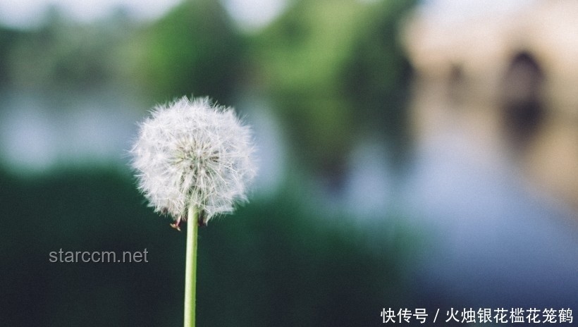单身如何优雅地谈情说爱：实用指南